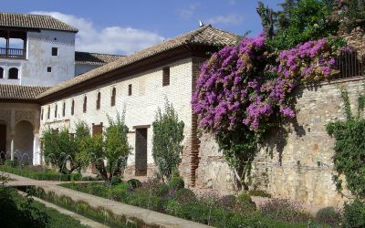 Granada 2010